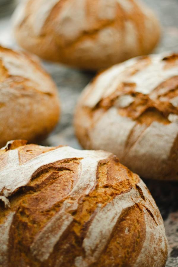 Kai 36 - Hotel Zwischen Fels Und Fluss Graz Dış mekan fotoğraf Bread
